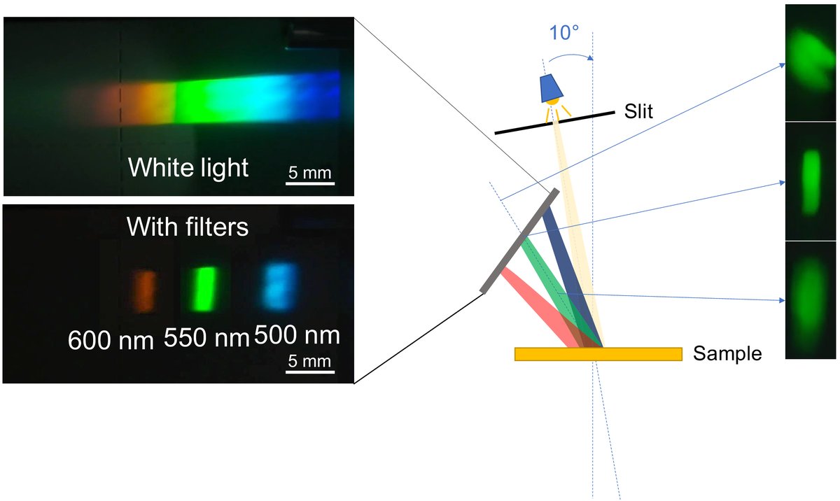 Miglė (@miglest) on Twitter photo Happy to share that my latest paper has been published in an open access journal Optics Express from <a href="/OpticaPubsGroup/">Optica Publishing Group</a>. In this research we proposed a novel chiral liquid crystal based lens for a spectral detection. You can find a full article here: lnkd.in/eTnCimyz Happy to share that my latest paper has been published in an open access journal Optics Express from <a href="/OpticaPubsGroup/">Optica Publishing Group</a>. In this research we proposed a novel chiral liquid crystal based lens for a spectral detection. You can find a full article here: lnkd.in/eTnCimyz