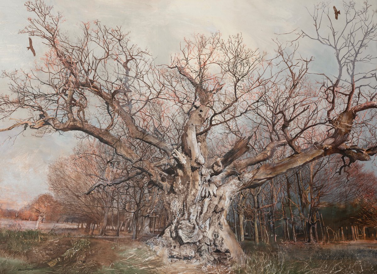 My drawing/painting of the Windsor Signing oak, almost completed. Sepia ink/watercolour/egg tempera/gesso 41 x 55 inches
#veterantrees #landscape #woodland #nature #sothebys #QGC #KingCharlesIII #contemporaryart
