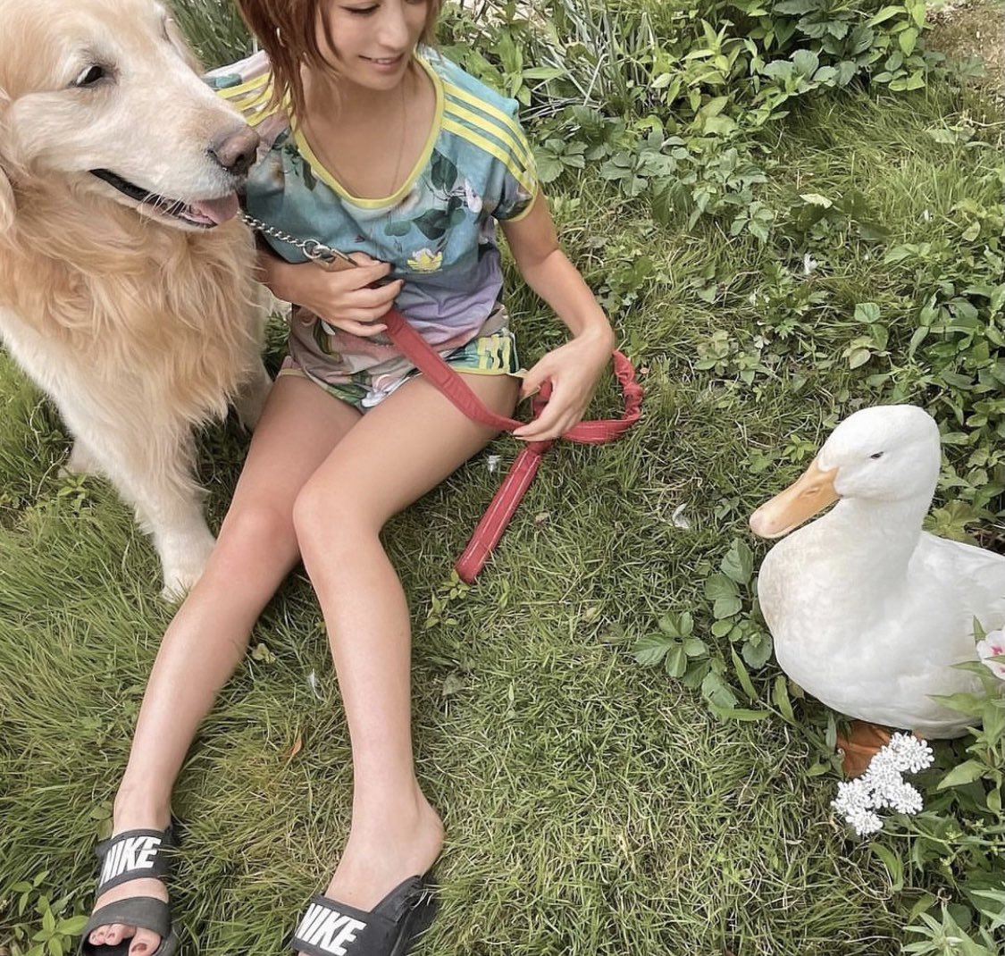 「芝生エリアも作りました山なので勝手に見たことない雑草が生えてきたり野鳥が種を運ん」|石川真衣/版画家のイラスト
