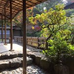 ツイートに含まれる画像