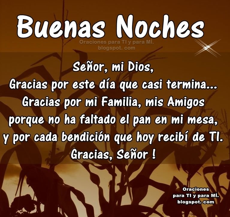 Feliz noche