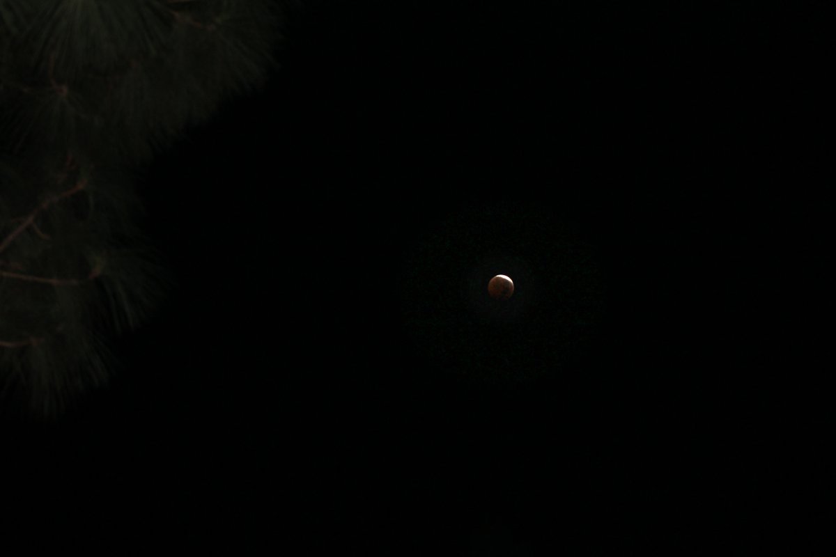 DavidAffray's tweet photo. Thank you for your #1linewed support!
#RestoreTheMoon
@monissa
@LindseyCDuncan
@Write2Fite
@paulphillips44
@MESivils
@LLaaksoWriter https://t.co/jNPAs3lvJT
