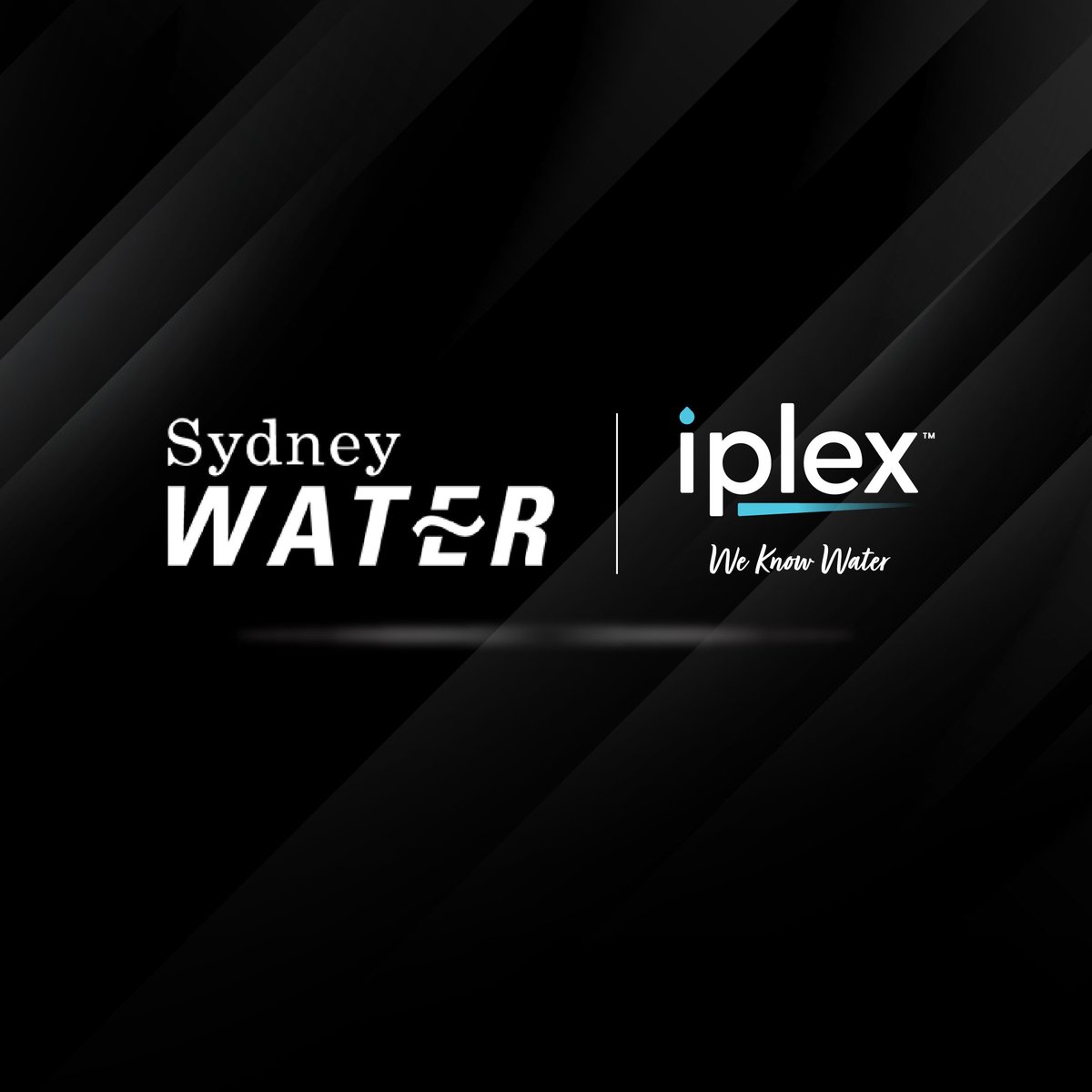 IplexAustralia's tweet photo. #Iplex is looking forward to partnering with @SydneyWaterNews at their Supply Chain &amp; Recruitment Expo 2022 which is being held next week.
The Iplex NSW team will be on hand to discuss all of our fantastic products and service offerings.
#weknowwater #waterindustry https://t.co/Hp5aTWhJvY