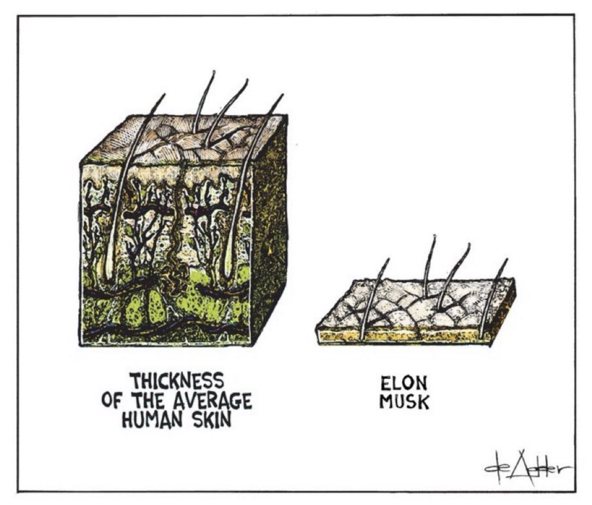 lisa_liberal's tweet photo. @elonmusk https://t.co/Dnhpk7UevZ