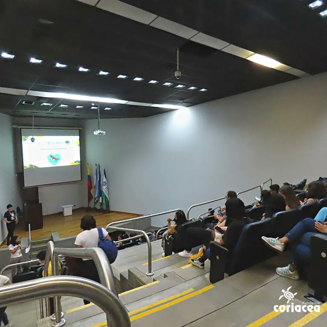 funcoriacea's tweet photo. #TBT2022 | Recuerdos de nuestra maratónica participación en el 3 Congreso Colombiano de Herpetología #3CCH, organizado por la @ACHerpetos del 31 de julio al 5 de agosto de 2022 en la @icesi en Cali. Estuvimos representados por nuestra directora Amalia María Cano-Castaño @amccol https://t.co/P9v2B3JrJh