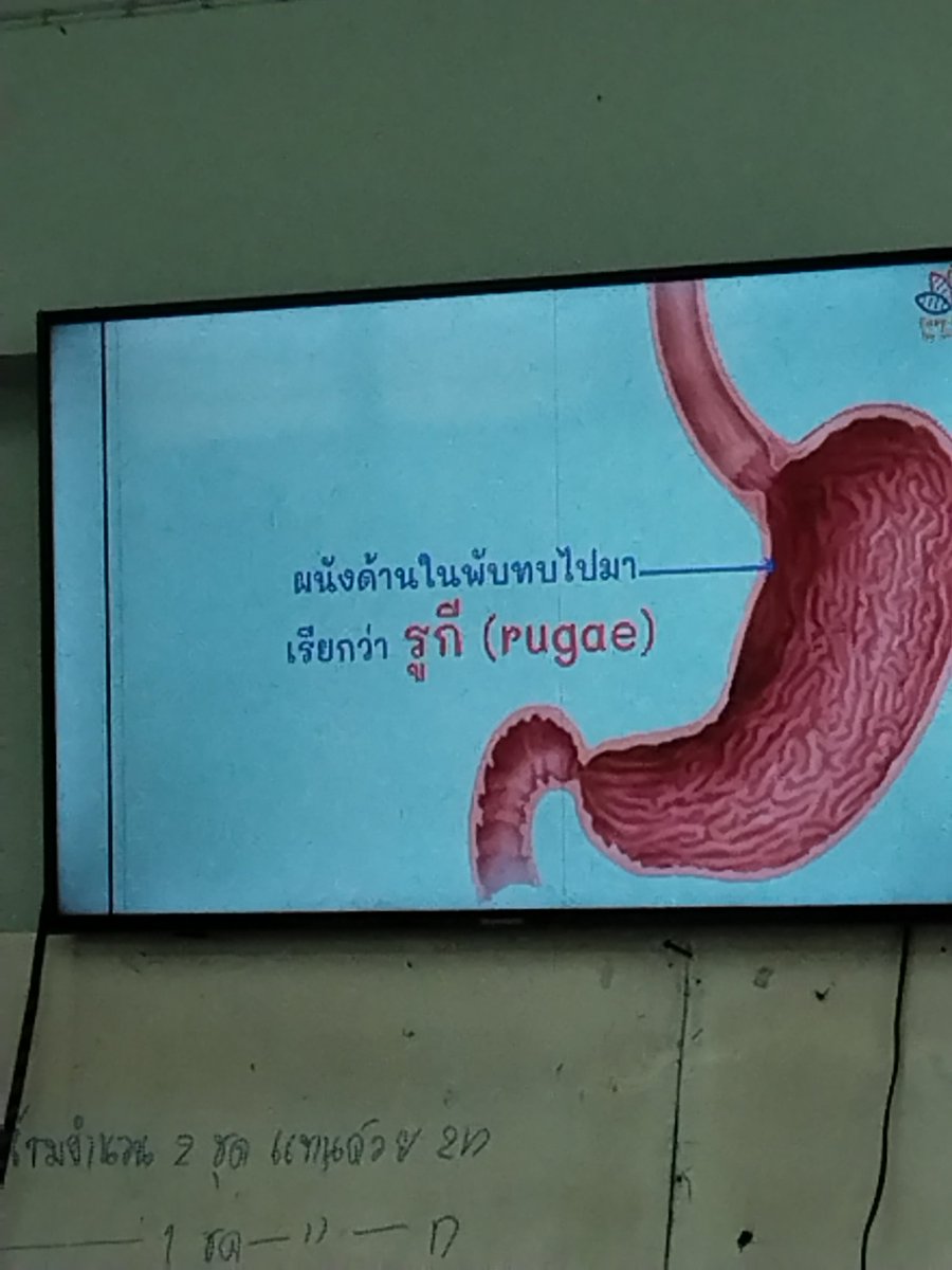 xinkaxinkha tweet media