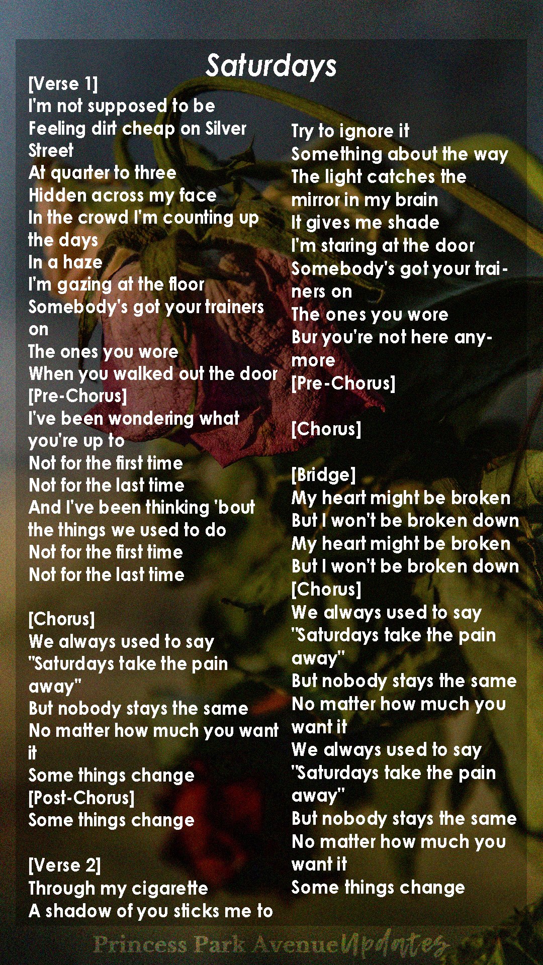 Princess Park Avenue Updates on Twitter "Saturdays 🥀 https//t.co