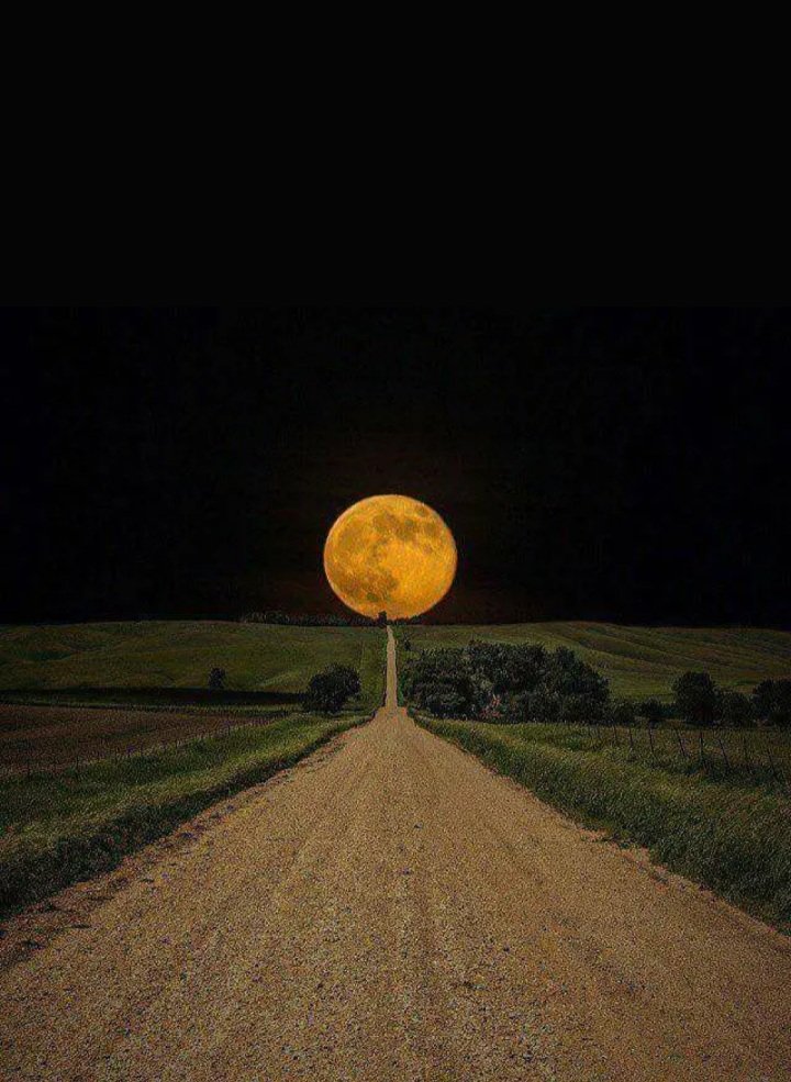 Andreaa_Domico's tweet photo. https://t.co/Ir45ktHCZS