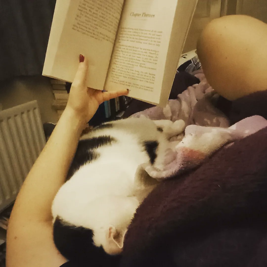 smbslt's tweet photo. #cuddled could she be any closer! I #love when she is a #snugglebug #book #blanket #paws #cozy #loved #snuggledin #pawsandpages #catsandbooks 📚 ♥️ xxx #currentread #AMothersChristmasWish #author #GlendaYoung #RachelsRandomResources #blogtour #booktwt #CatsOfTwitter https://t.co/4DT6UM0Bs8