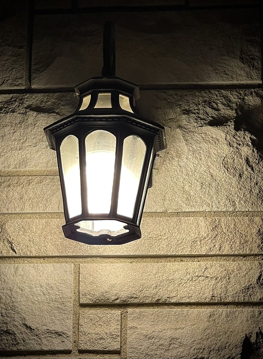 MariannaDeBolt's tweet photo. Light in the darkness. #light #darkness #fallevening https://t.co/S7XUCViiSh