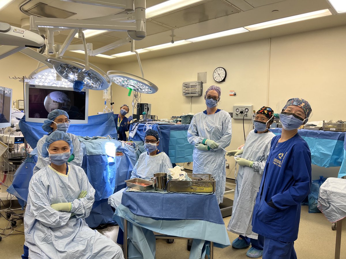 gelareh-zadeh tweet media