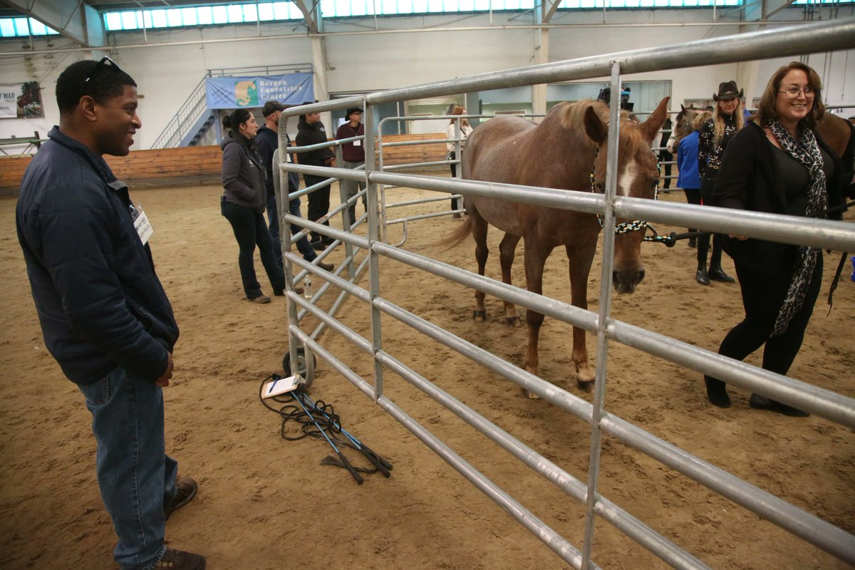 At Bergen Equestrian Center, the Man O'War Project shows how horses are used for therapy with veterans who suffer from PTSD. (📷 credit: @bedjack)