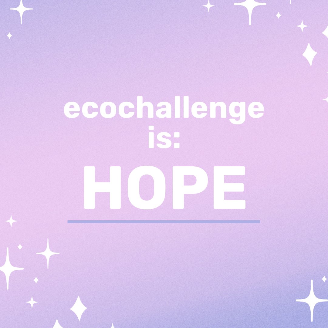Ecochallenge.org tweet media