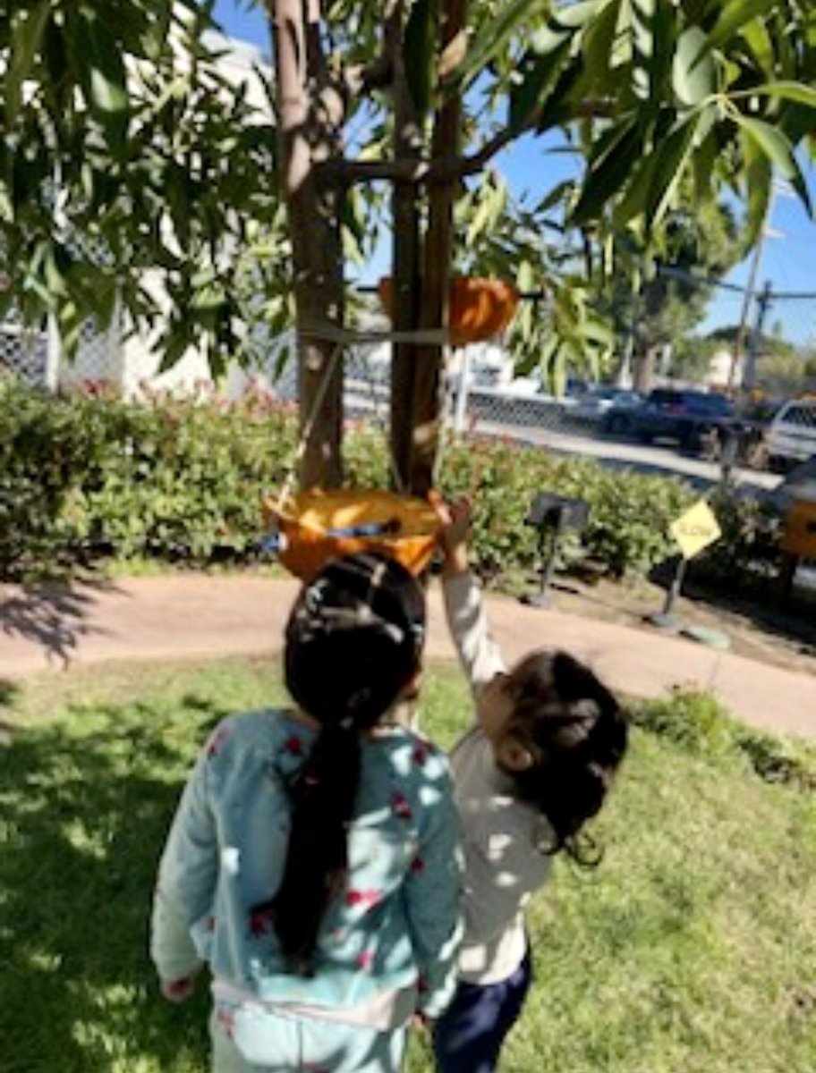 When we make good use of our leftover pumpkins🎃….we have Pumpkin bird feeders🐦🐦.
#natureexplore #learnthroughplay #outdoorclassroom 
<a href="/ECED4LA/">ECE4LA</a> <a href="/LDNESchools/">LDNortheast-ARCHIVE</a> <a href="/LAUSDSup/">Alberto M. Carvalho</a> <a href="/SunSchools/">Region North Sun Valley Network of Schools</a> <a href="/DeanTagawa/">Dean Tagawa, Ed.D.</a> <a href="/Kelly4LASchools/">Kelly Gonez, LAUSD</a>