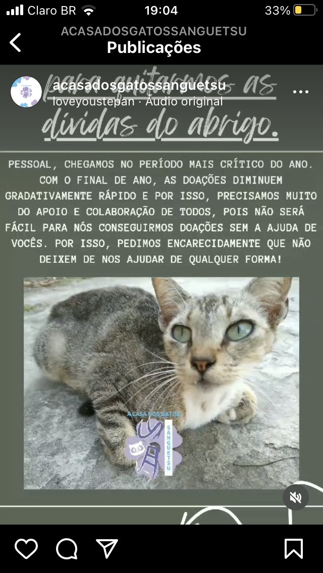 nyaS2min's tweet photo. NÃO IGNOREM !!!!! SÉRIO 

a casa dos gatos sanguetsu tá precisando de muita ajuda, A SEDE ESTÁ QUASE FECHANDO e vão ter muitos gatinhos que vão passar muita necessidade, por favor ajudem!!

https://t.co/VZOjKPQISb https://t.co/FGf9btAJVM