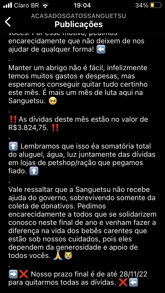 nyaS2min's tweet photo. NÃO IGNOREM !!!!! SÉRIO 

a casa dos gatos sanguetsu tá precisando de muita ajuda, A SEDE ESTÁ QUASE FECHANDO e vão ter muitos gatinhos que vão passar muita necessidade, por favor ajudem!!

https://t.co/VZOjKPQISb https://t.co/FGf9btAJVM