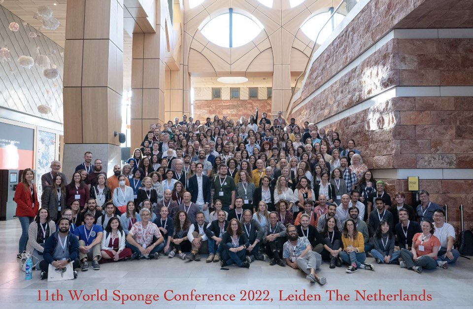 Sponge_2022 tweet media