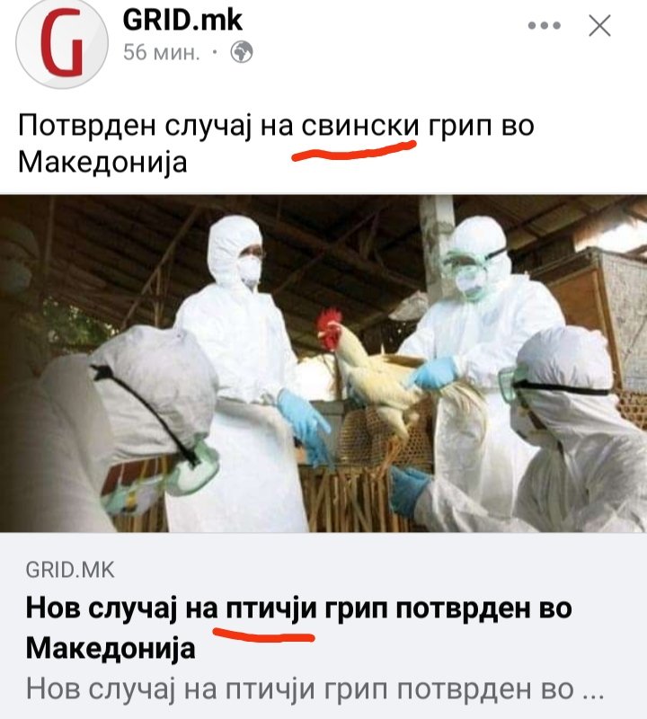 Свински или птичји?
Кој ќе го јаде, кокошките или свињите?