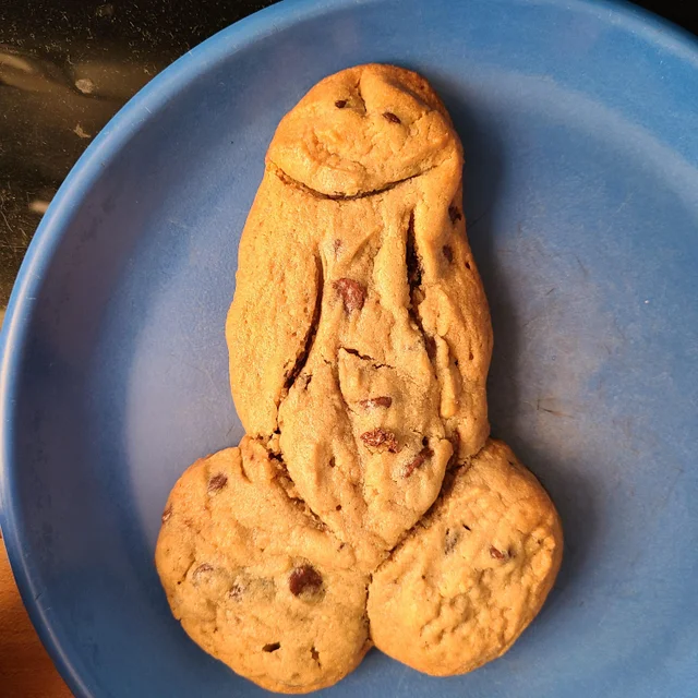 messedupfoods's tweet photo. cocklate chip cookie https://t.co/cqdlb2LPnP