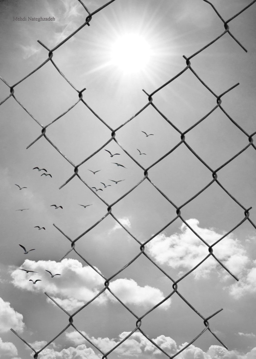 MNateghzadeh's tweet photo. Freedom
Photography
©Mehdi Nateghzadeh
#Iran #Tabriz #bnwphotography #bnw_life #streetphotography #irangirl #gettyimage #photography #photooftheday #photo #NFTartist #freedom #streetphotographer #blackandwhite #nftart #Iranian #IranianWomen https://t.co/TQz5I1npZy