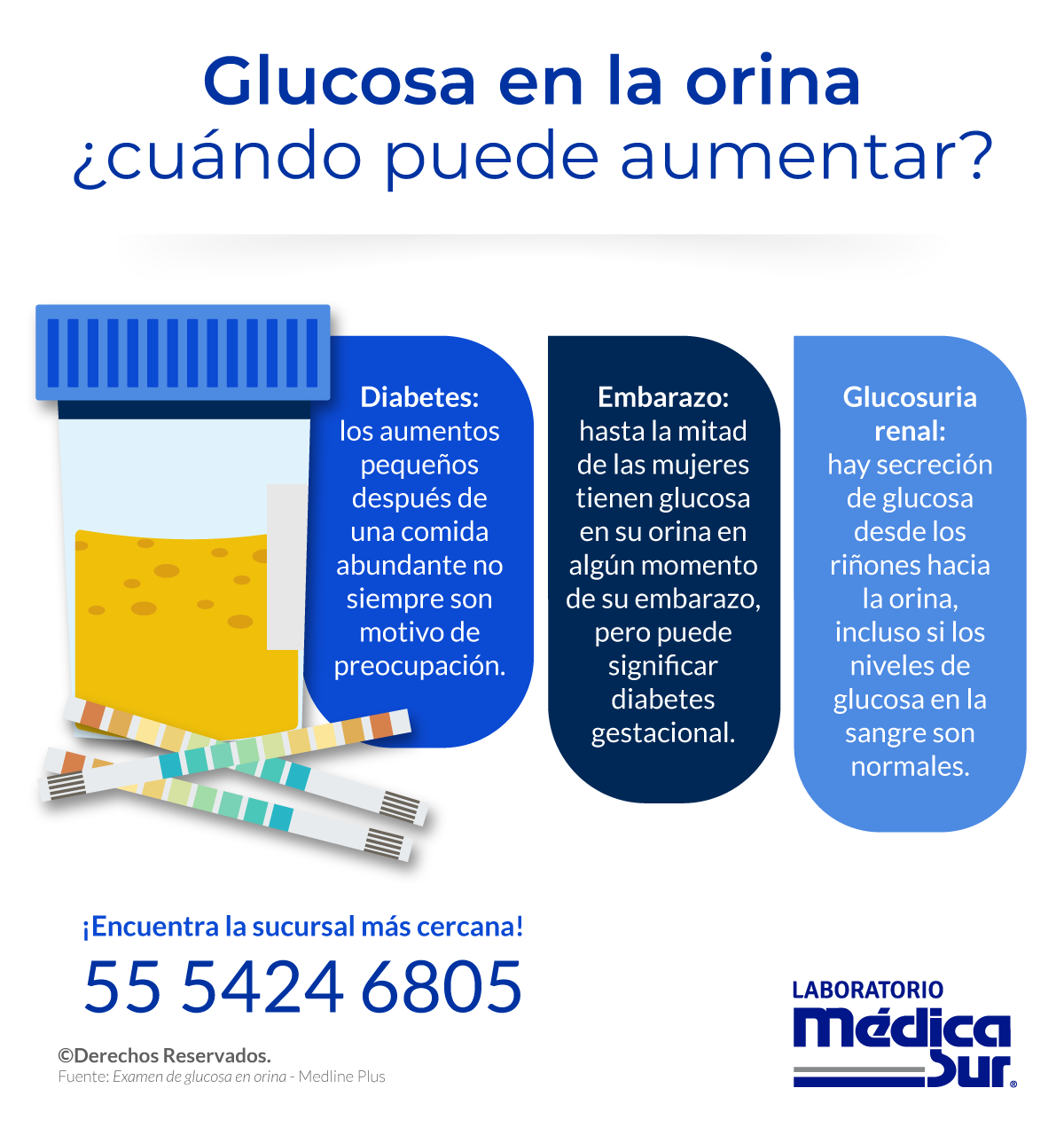 Medica Sur on X Que indican los niveles altos de glucosa en la orina Se le denomina glucosuria y aqui te contamos algunos motivos por los que puede ocurrir LaboratorioMedicaSur PruebasDeLaboratorio La...