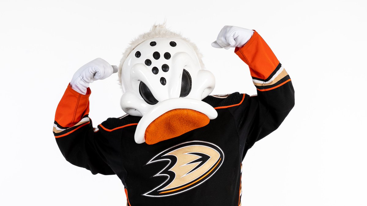 Wild Wing tweet media