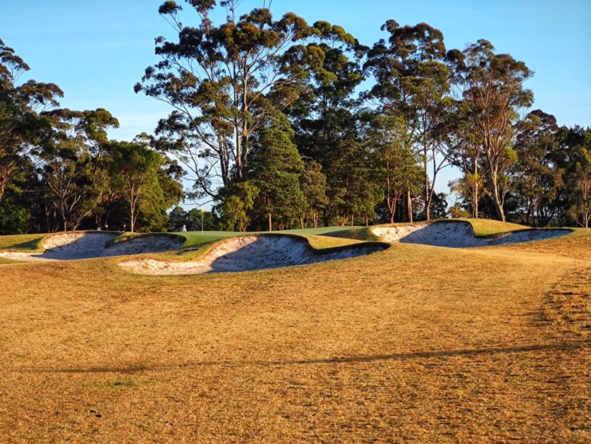 Amazing colours at the Royal this morning #sunrise #teetime #golfsydney #sydneygolf #publicgolf #ゴルフ #morninggolf #kuringgai #golf #sunrisegolf #elitegolfnsw #golflife #golfers