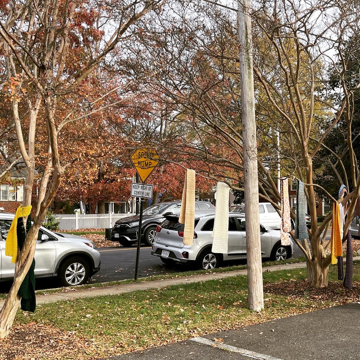 🍂It was a 😍 fall day today at the Barcroft Neighborhood Mobile Market. 100s of local families picked up fresh produce &amp; Thanksgiving food items. The Women’s Club of Arlington gifted handmade scarves to the community. Lots of good people doing lots of good today 🥰