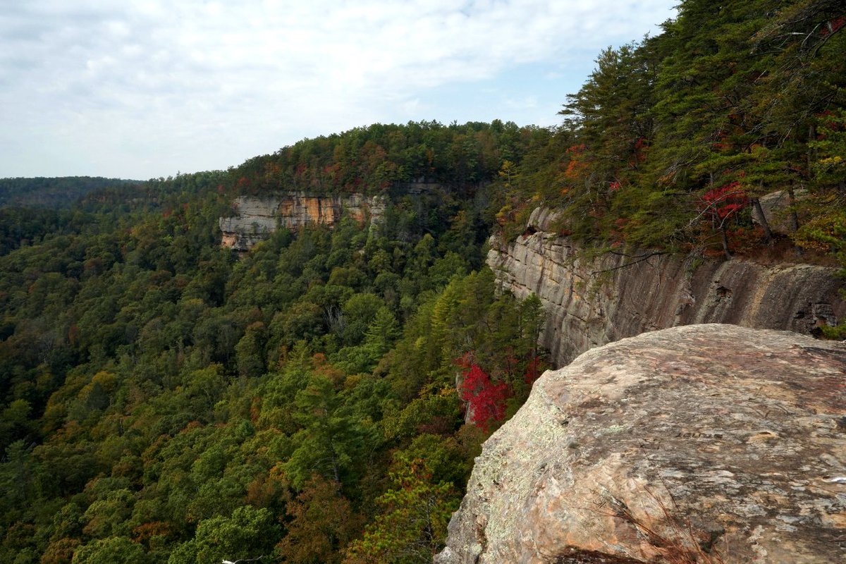 Hiking in Red River Gorge: Eagle Point Buttress 

youtu.be/MljmM4GztJA

#hikingadventures #Hiking #RedRiverGorge #GorgeLife
#Kentucky #outdoors