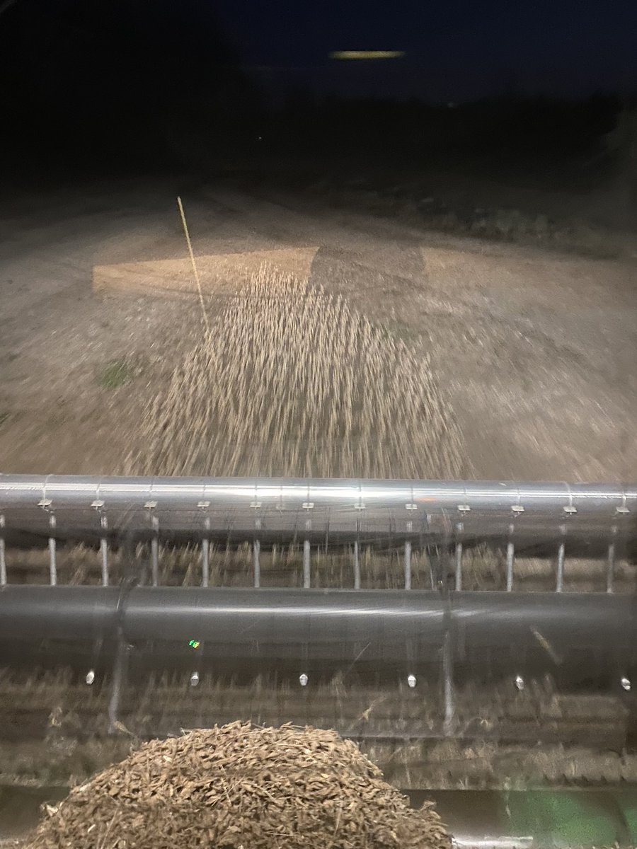 The end of soys for 2022. Just in time before the monsoon tomorrow