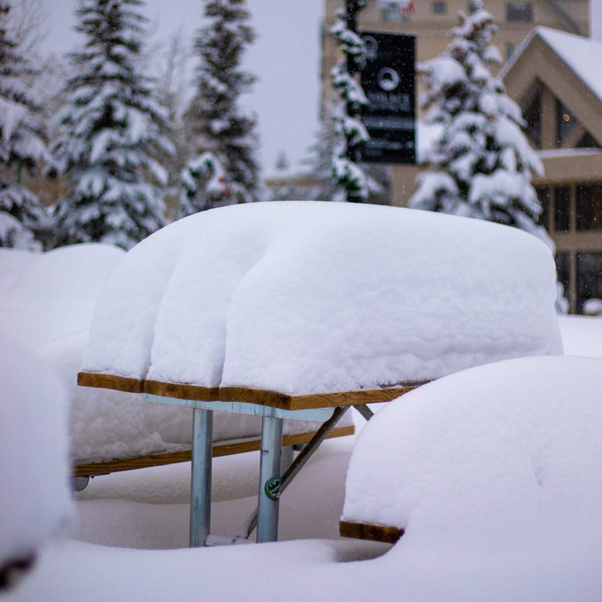 bigskyresort's tweet photo. When it snows for almost 7 days straight 🤩 22" and counting!

📷 KG Content taken 11.10.22 https://t.co/zLPPLI3nlF