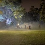 Photo by committee_films (@committeefilms)