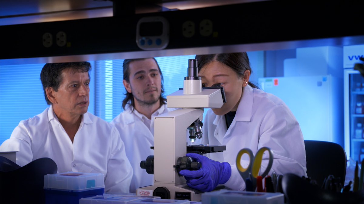 Tweet by NC State Vet Medicine