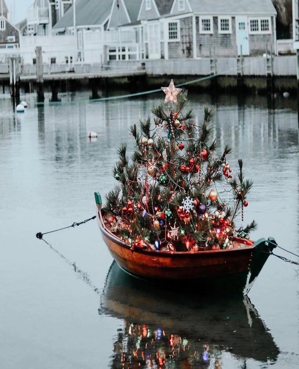 capeologypics's tweet image. Our Holiday Bucket List is LIVE! 🎄 Check out our list to find local holiday events happening on the Cape and Islands this season. ✨ capeology.shop/blogs/news/hol…

Want to receive an email for our next holiday-themed guide? 💌 mailchi.mp/d50bdc987ce0/m…

#capeology #capecod #supportlocal