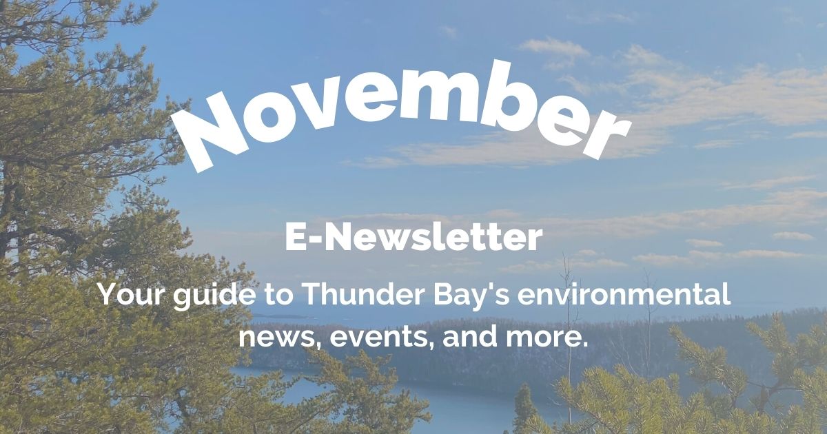 The weather is cooling down but we aren't with new eco opportunities, events &amp; more! Read the newsletter to check it out! mailchi.mp/ecosuperior/no…