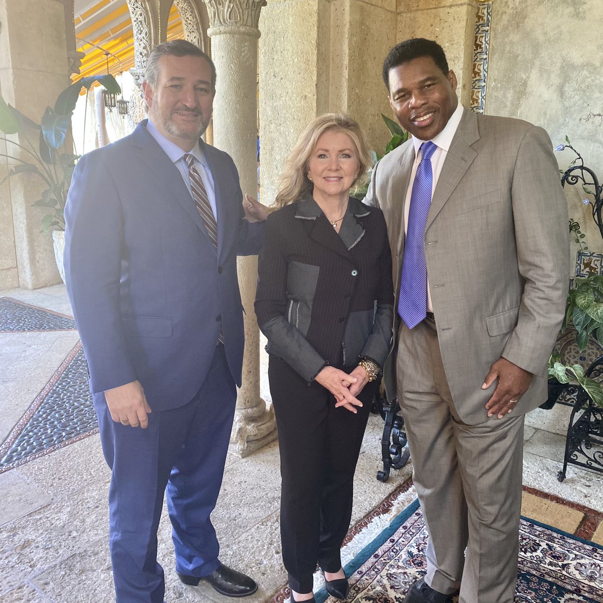 Mystery Solvent tweet media