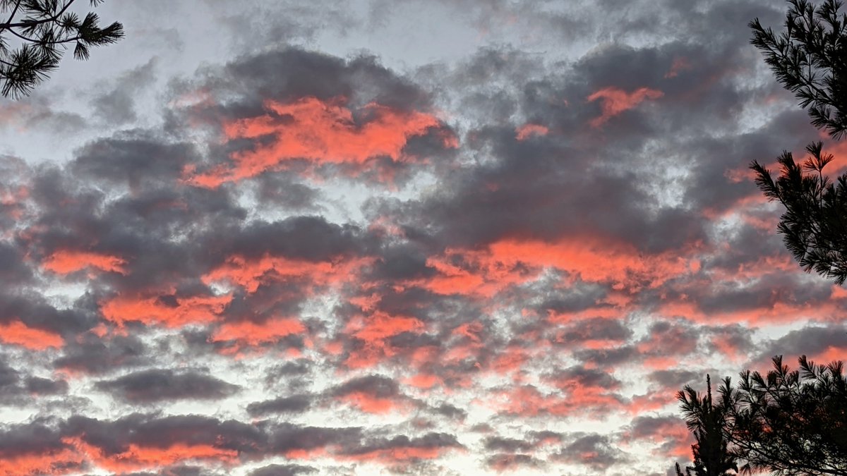 MapleSugarWoman's tweet photo. Brief but beautiful fiery clouds in Guelph this morning @KelseyMcEwen   @YourMorning https://t.co/wfSoHUd84o