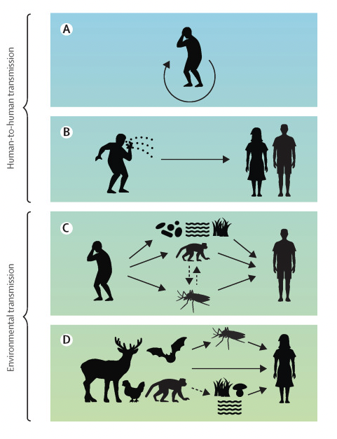 Stanford Woods Institute tweet media
