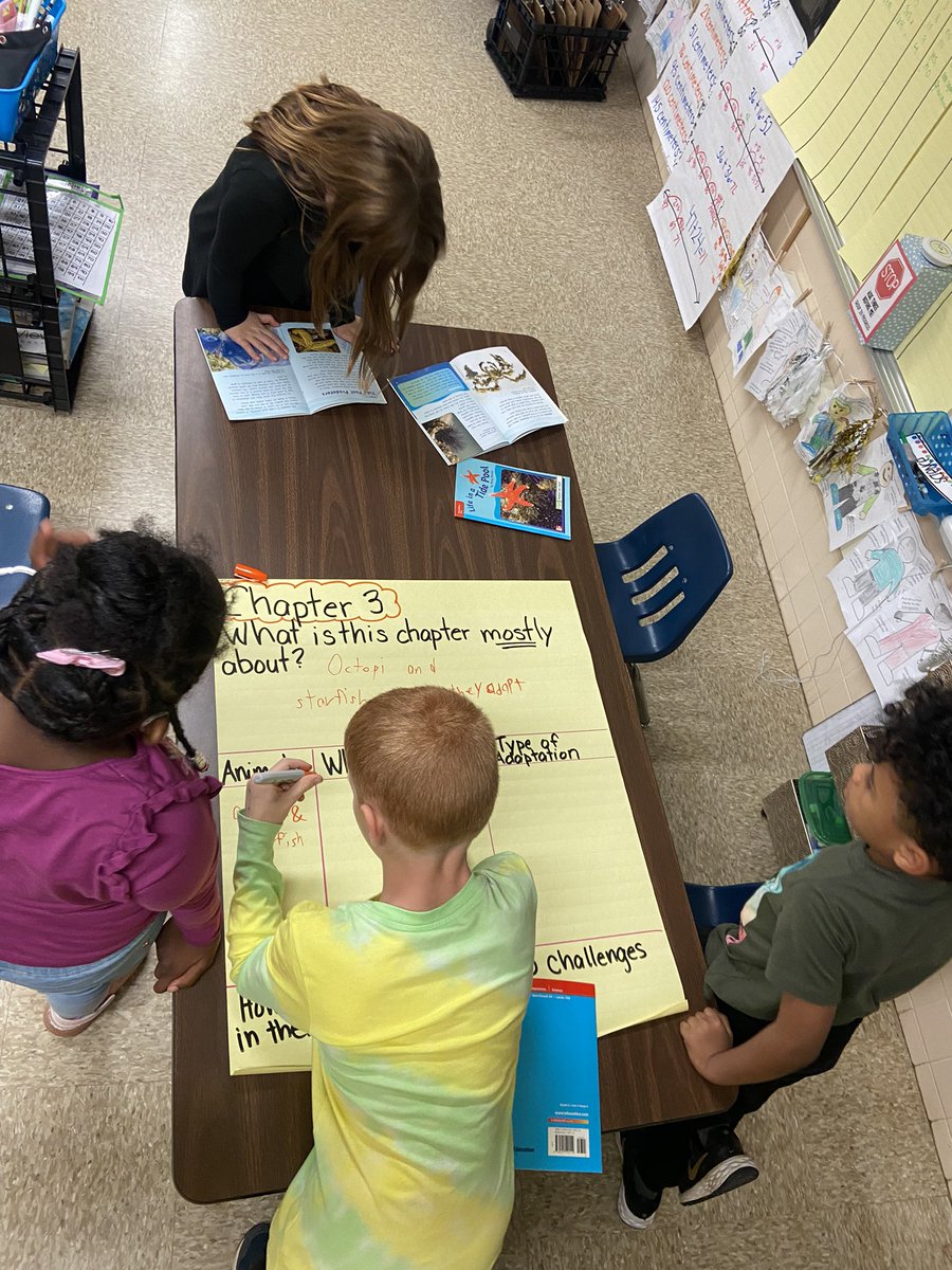 Dawn Stephenson tweet media