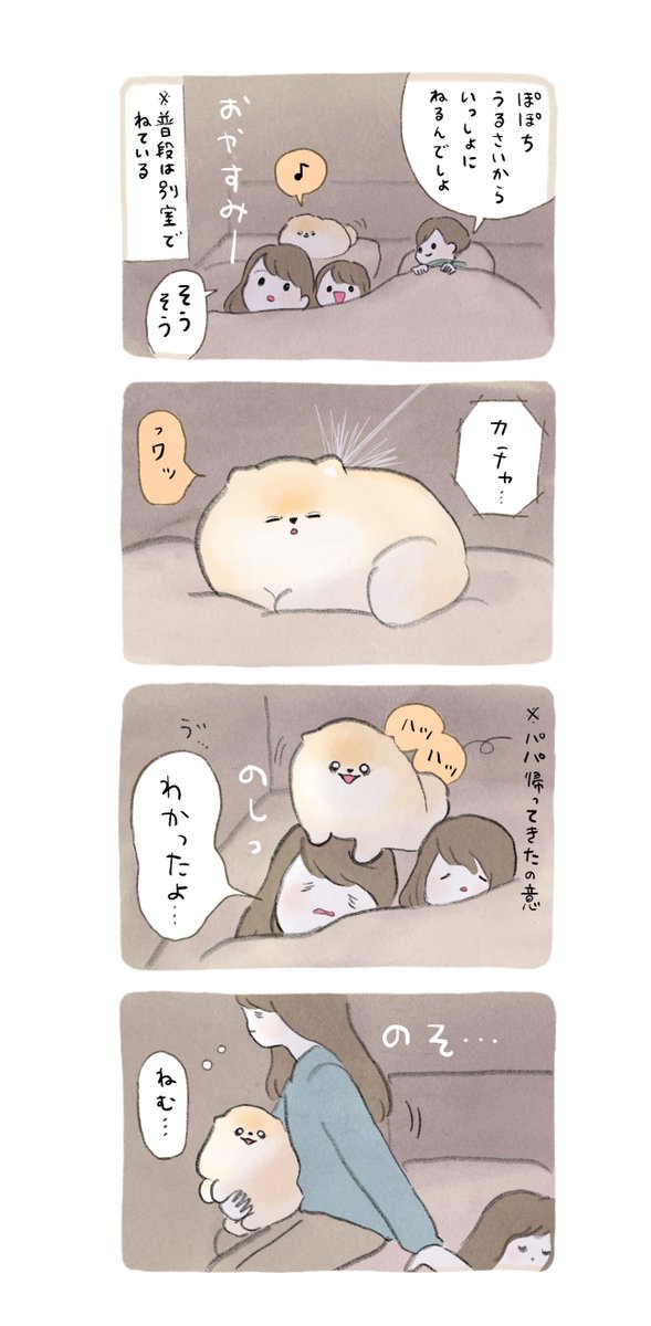 ふわふわポメのぽぽち
「肝心なの忘れてます…」 