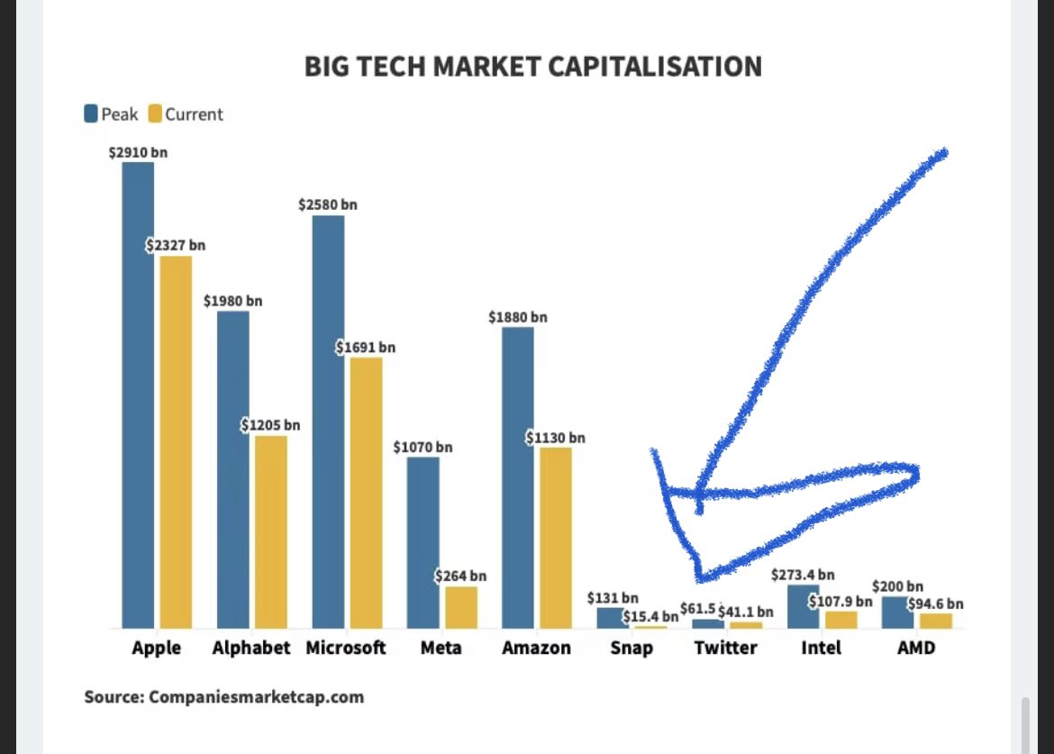 Gully Flowers 🟧 tweet media
