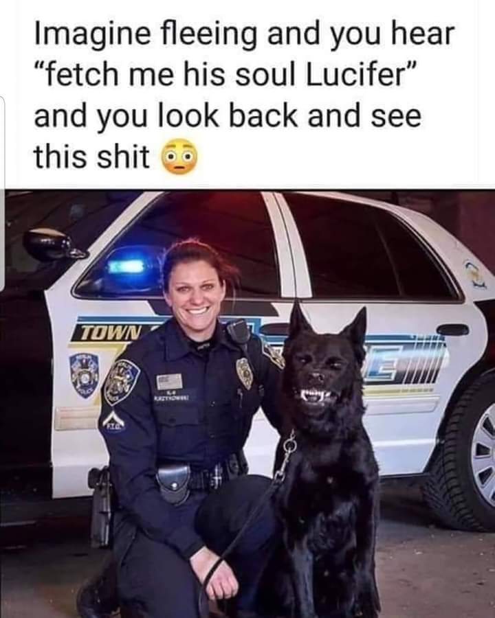 Nice doggie 😳😂