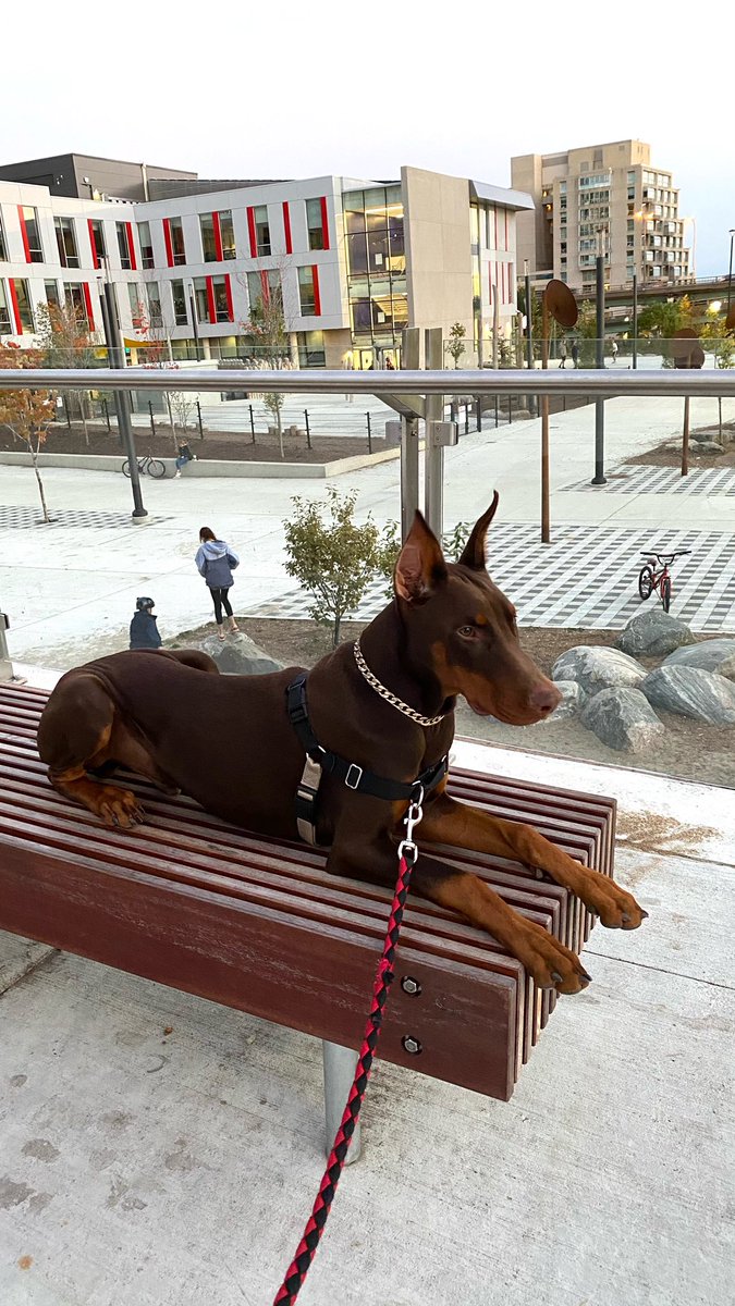 Here’s my handsome guy once again