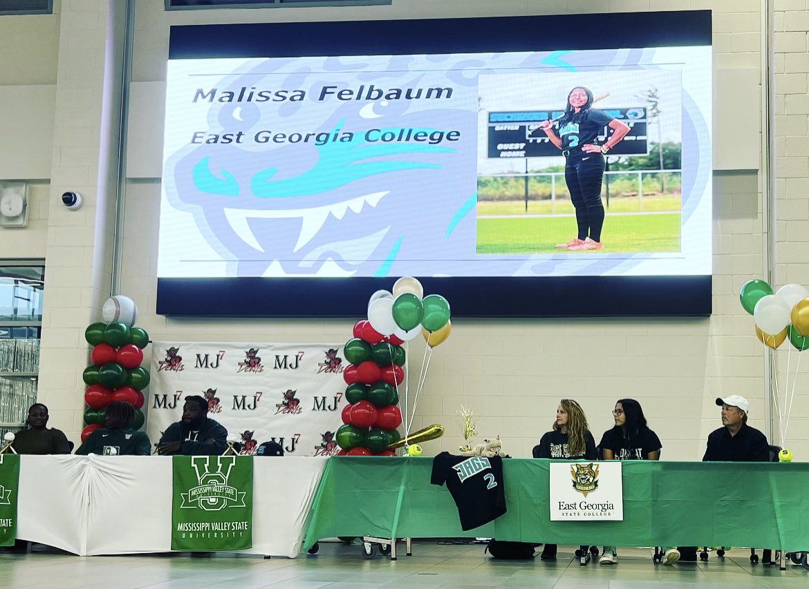 Seckinger Softball tweet media