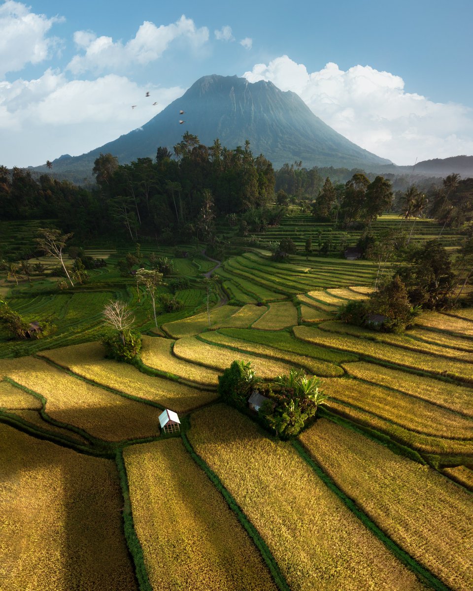 Gm from the rural scenes of Indonesia 🍃