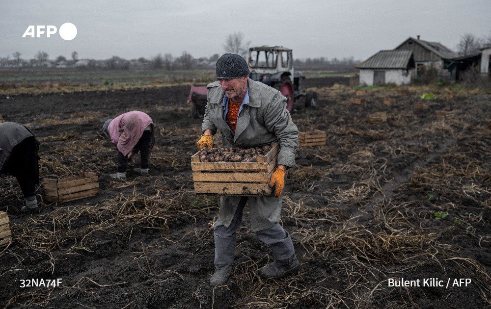 AFP News Agency on Twitter: