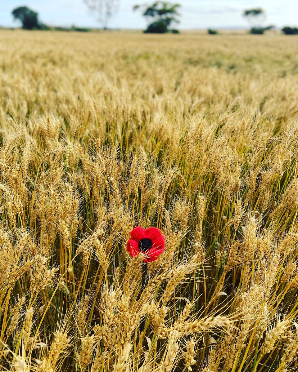 Leanne Pridham (@leannepridham) on Twitter photo 