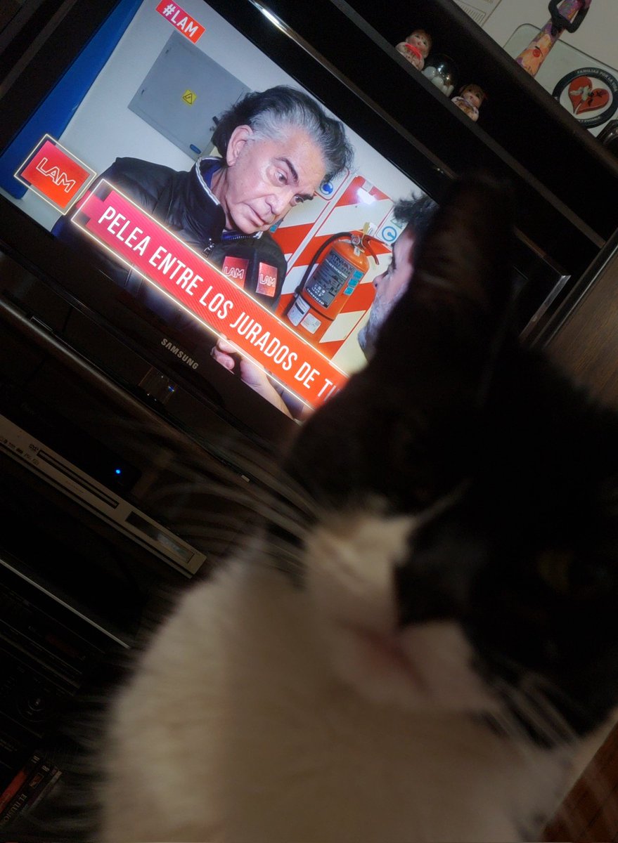 Marcelitaojeda's tweet photo. Sativa mete composé capilar con el Puma Rodríguez.
#FelinosCanosos
#Laaaam @AngeldebritoOk @elejercitodelam https://t.co/wrBnfRLvb9