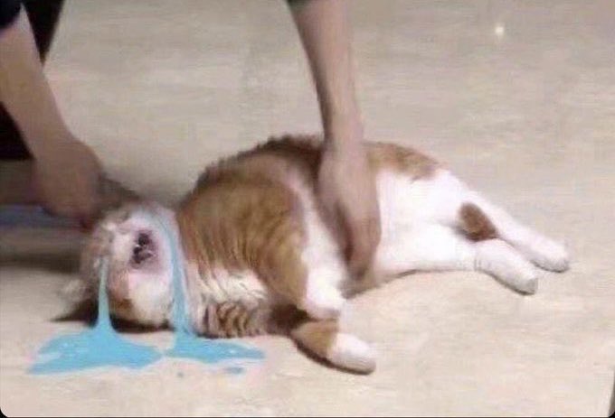 Had to watch the episode because Mob Psycho was trending two days in a row…. Shouldn’t have watched the episode