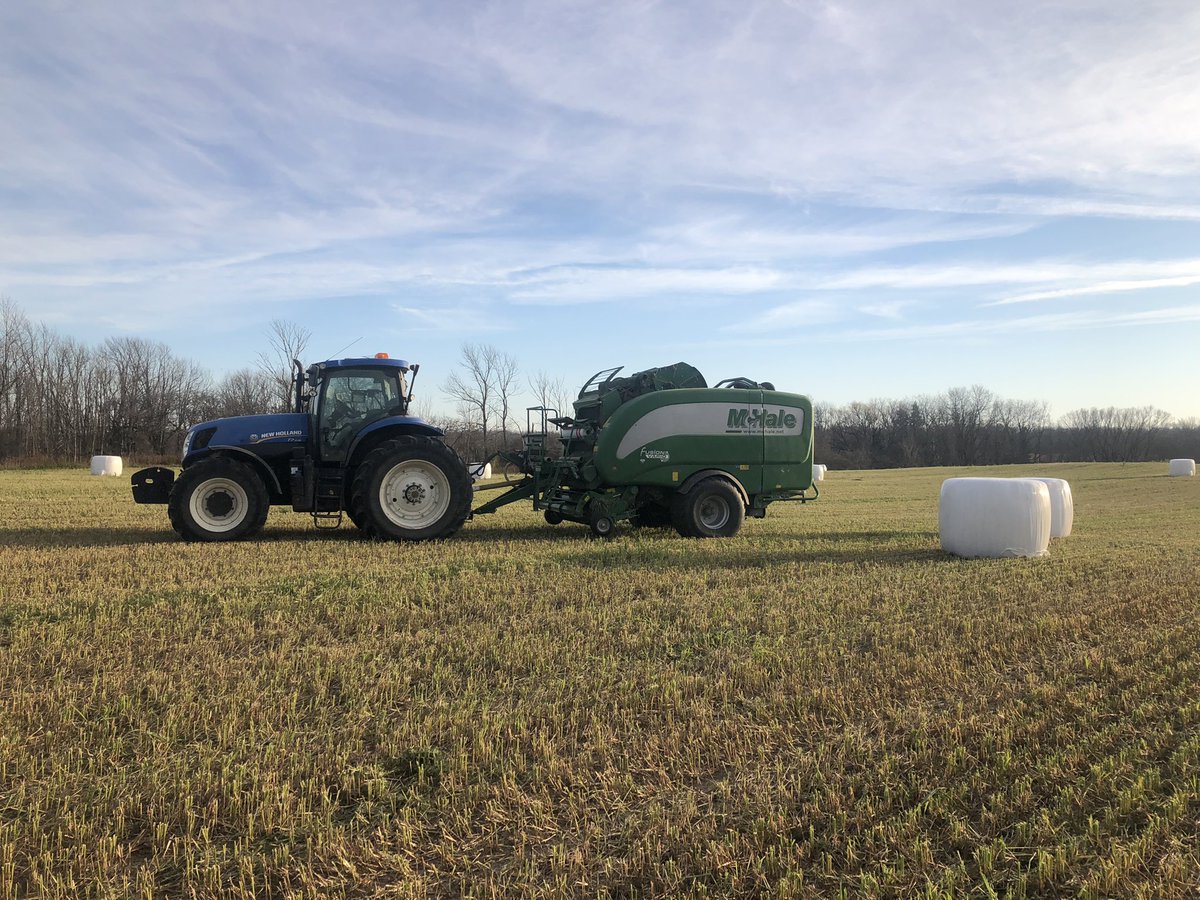 One other beautiful day to make more marshmallows